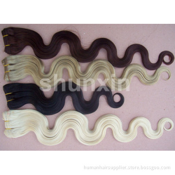 Popular Hair Do/Body Wave Hair/Virgin Indian Remy Hair Extensions